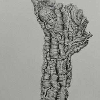 Dessin intitulée "Quercus Suber III" par Isabelle Stagg, Œuvre d'art originale, Encre