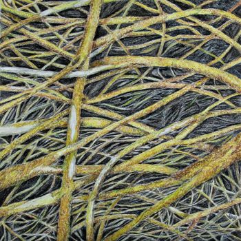 Dessin intitulée "Lichens II" par Isabelle Stagg, Œuvre d'art originale, Crayon