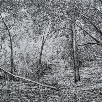 Dessin intitulée "Chênes et pins III/…" par Isabelle Stagg, Œuvre d'art originale, Encre