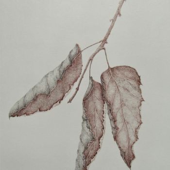 Dessin intitulée "Three leaves" par Isabelle Stagg, Œuvre d'art originale, Encre
