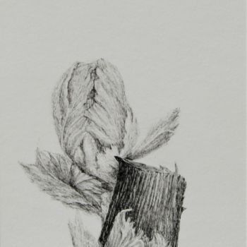 Desenho intitulada "Bud I" por Isabelle Stagg, Obras de arte originais, Tinta