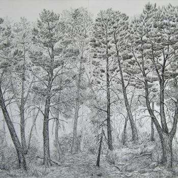 「Woodland I」というタイトルの描画 Isabelle Staggによって, オリジナルのアートワーク, インク