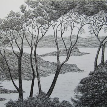 Drawing titled "Mediterranean seash…" by Isabelle Stagg, Original Artwork, Ink