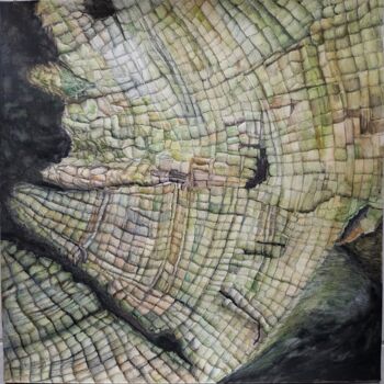 Рисунок под названием "Souche/Tree stump II" - Isabelle Stagg, Подлинное произведение искусства, Чернила