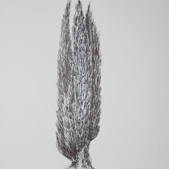 Drawing titled "Old Cypress" by Isabelle Stagg, Original Artwork, Ink Mounted on Glass