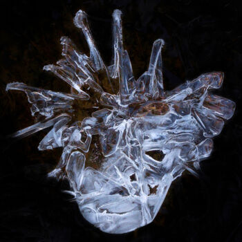 Fotografie mit dem Titel "Iceman" von Igor Borišek, Original-Kunstwerk, Digitale Fotografie