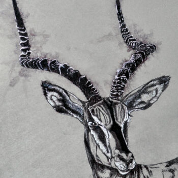 Malarstwo zatytułowany „African antelope Im…” autorstwa Igor Kashchenko, Oryginalna praca, Atrament
