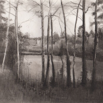 Рисунок под названием "Заросший пруд" - Игорь Машин, Подлинное произведение искусства, Чернила