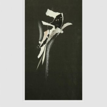 Arte digitale intitolato "Чёрный в чёрном" da Sirena, Opera d'arte originale, Collages