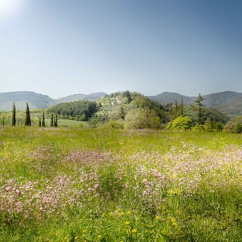 Photographie intitulée "Primavera Toscana" par Ilesh, Œuvre d'art originale, Photographie numérique