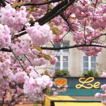 Fotografia zatytułowany „paris.april” autorstwa Ilgvars Zalans, Oryginalna praca