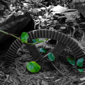 Photography titled "Gear Gone By" by Debra Casey, Original Artwork, Digital Photography