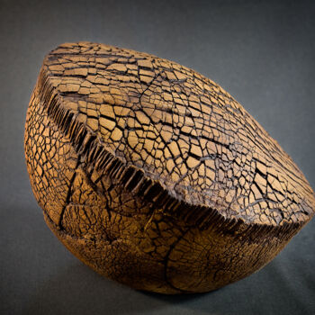 Sculpture intitulée "EROSIONES A" par Iñaki San, Œuvre d'art originale, Terre cuite