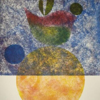 Printmaking titled "Naturaleza III" by Inés Diez, Original Artwork, Other