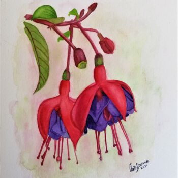 Peinture intitulée "Brincos de Rainha" par Inês Dourado, Œuvre d'art originale, Aquarelle