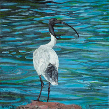 Painting titled "Ibis" by Infinity, Original Artwork, Acrylic