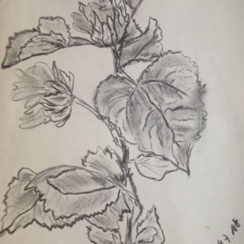 Drawing titled "Sonnenblume" by Naturkind, Original Artwork