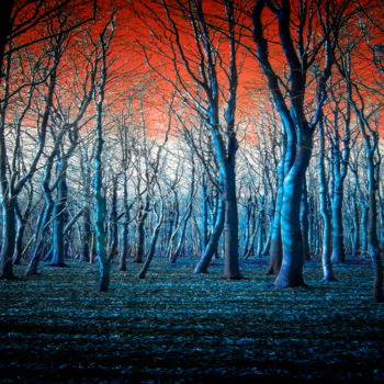 "The Blue Forest" başlıklı Fotoğraf Neil Hemsley tarafından, Orijinal sanat, Fotoşoplu fotoğrafçılık