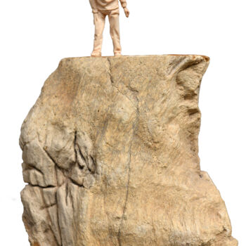 Скульптура под названием "Abgrund" - Gerhard Ploner, Подлинное произведение искусства, Дерево