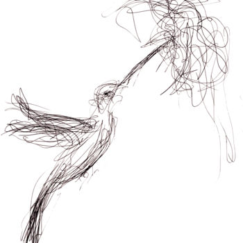 Рисунок под названием "Kolibri Kaos Strich…" - Güler Aytek Lök, Подлинное произведение искусства, Шариковая ручка