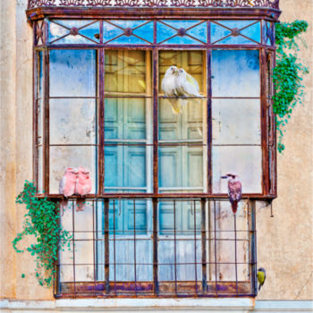 Arts numériques intitulée "A Colorful Balcony…" par Fernando Paramio Alamillo, Œuvre d'art originale, Photo montage