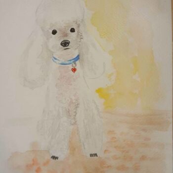 Peinture intitulée "Paky" par Angela Pergola, Œuvre d'art originale, Aquarelle