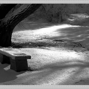 Photography titled "Snow in the Park" by Inge Kraus, Original Artwork