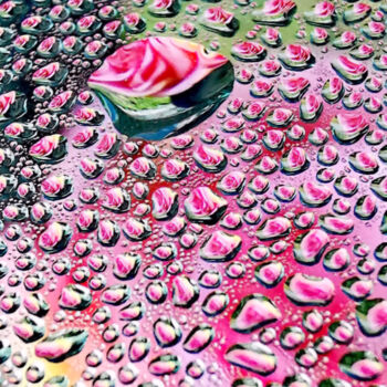 Fotografie mit dem Titel "Red Rose Raindrops" von Ingrid Blaurock, Original-Kunstwerk, Digitale Fotografie Auf Metall montie…