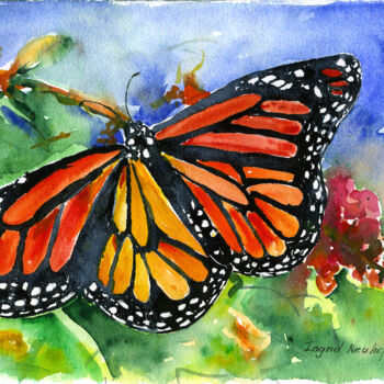 Painting titled "Monarch" by Ingrid Dohm, Original Artwork, Watercolor