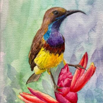 Pintura intitulada "Olive-backed sunbird" por Inna Martynenko, Obras de arte originais, Aquarela
