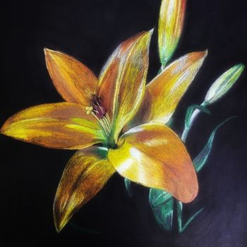 Drawing titled "Yellow lily" by Irina Shopina, Original Artwork, Pencil