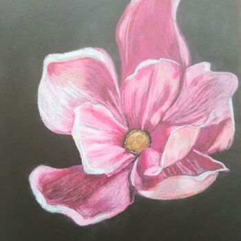 Desenho intitulada "Magnolia" por Irina Shopina, Obras de arte originais, Lápis