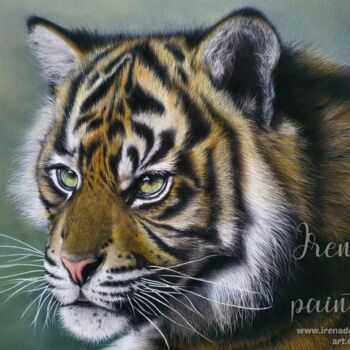 Painting titled "Kyaw, jeune tigre d…" by Iren'Art Painting, Original Artwork, Pastel