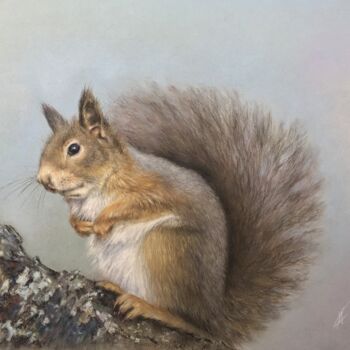 Dessin intitulée "Squirrel" par Irene_art, Œuvre d'art originale, Pastel