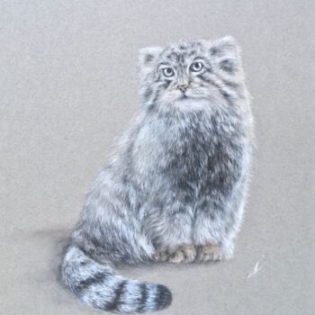 Disegno intitolato "Manul cat" da Irene_art, Opera d'arte originale, Pastello