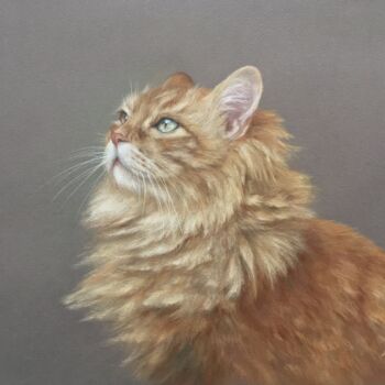 Dibujo titulada "Ginger cat" por Irene_art, Obra de arte original, Pastel
