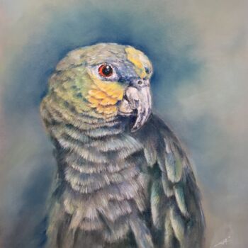 Disegno intitolato "Parrot" da Irene_art, Opera d'arte originale, Pastello