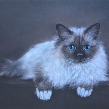 Dessin intitulée "Siamese cat" par Irene_art, Œuvre d'art originale, Pastel