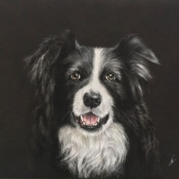 Рисунок под названием "Border collie" - Irene_art, Подлинное произведение искусства, Пастель