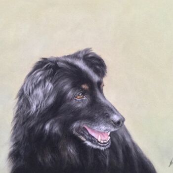 Drawing titled "Friend" by Irene_art, Original Artwork, Pastel