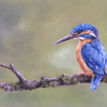 Рисунок под названием "Kingfisher" - Irene_art, Подлинное произведение искусства, Пастель