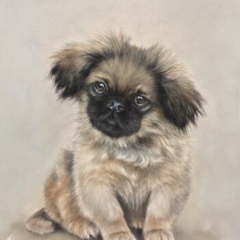 Desenho intitulada "Pekingese" por Irene_art, Obras de arte originais, Pastel