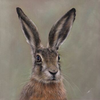 Disegno intitolato "Young hare" da Irene_art, Opera d'arte originale, Pastello