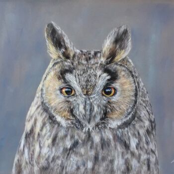 Dessin intitulée "Owl" par Irene_art, Œuvre d'art originale, Pastel
