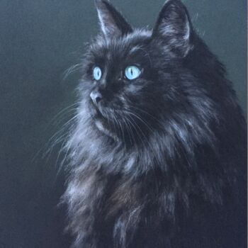 Desenho intitulada "Cat-model" por Irene_art, Obras de arte originais, Pastel