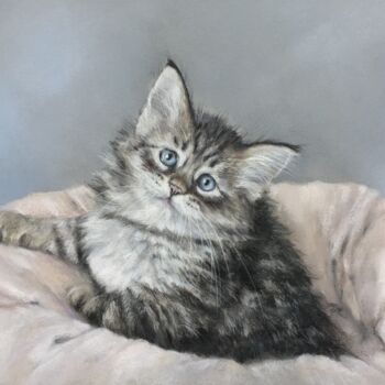 Dessin intitulée "Kitten portrait" par Irene_art, Œuvre d'art originale, Pastel