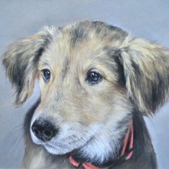 Drawing titled "Small doggy" by Irene_art, Original Artwork, Pastel