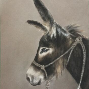 Tekening getiteld "Le bourricot" door Irene_art, Origineel Kunstwerk, Pastel