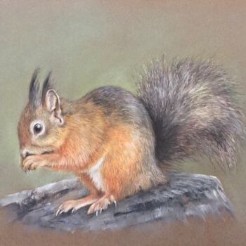 Dessin intitulée "Red squirrel" par Irene_art, Œuvre d'art originale, Pastel