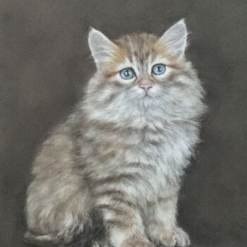 Dessin intitulée "Siberian kitten" par Irene_art, Œuvre d'art originale, Pastel